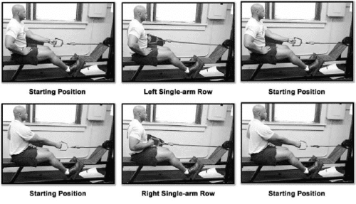 Single Arm Seated Cable Row 