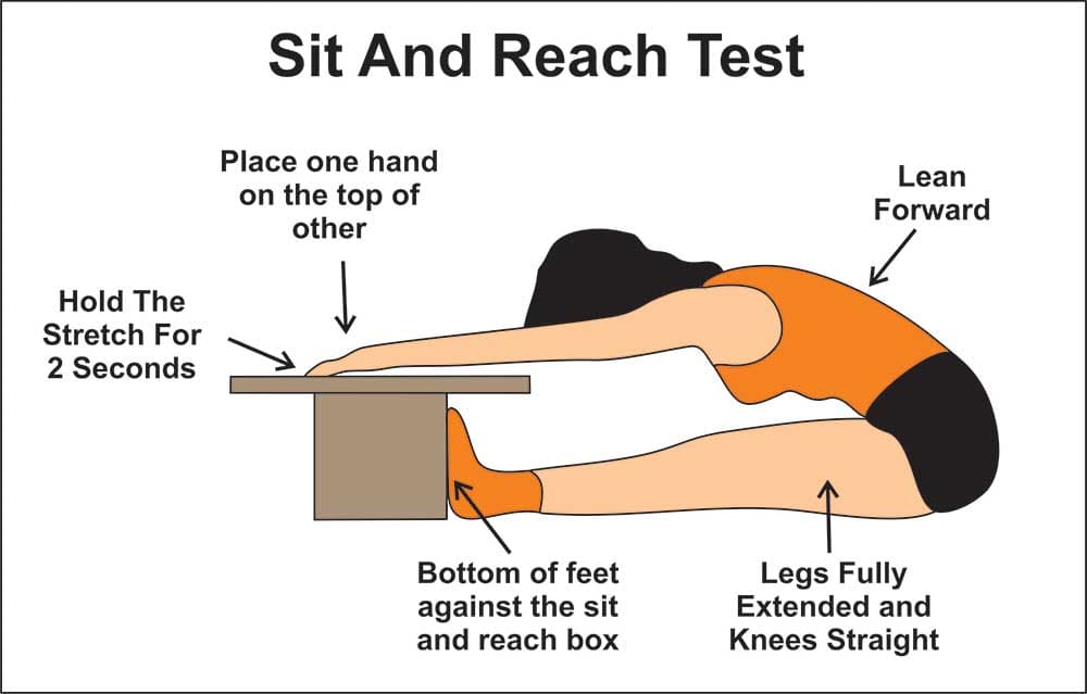 Sit And Reach Test FitnessGram 2023