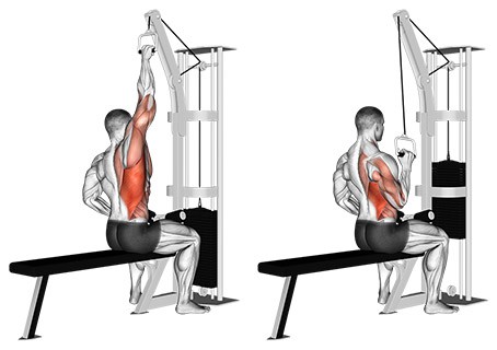 Single Arm Lat PullDown Exercise 2023