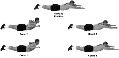 Prone Row Exercise Workout