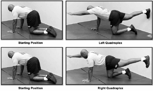 Quadraplex Exercise