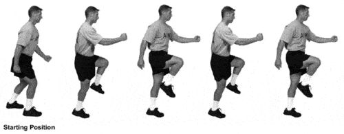The Verticals Exercise